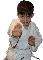 Boy in fighting posture