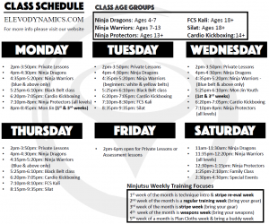 Weekly Class Schedule for Elevo Dynamics